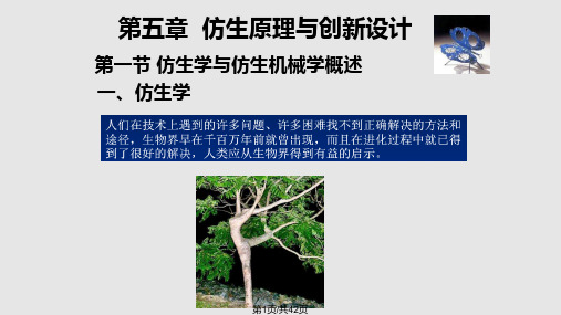 仿生原理与创新设计PPT课件