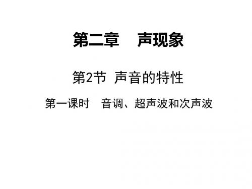 八年级物理上册同步导学ppt(30份)5