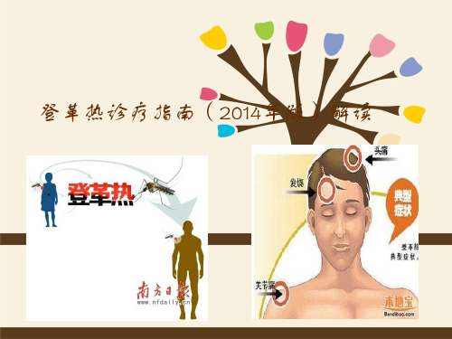 登革热诊疗指南(2014年版)解读