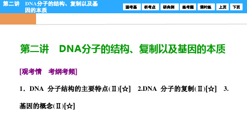 第六单元  第二讲 DNA分子的结构、复制以及基因的本质