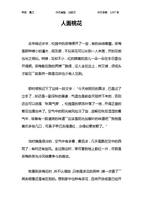 人面桃花作文【高中高三1200字】
