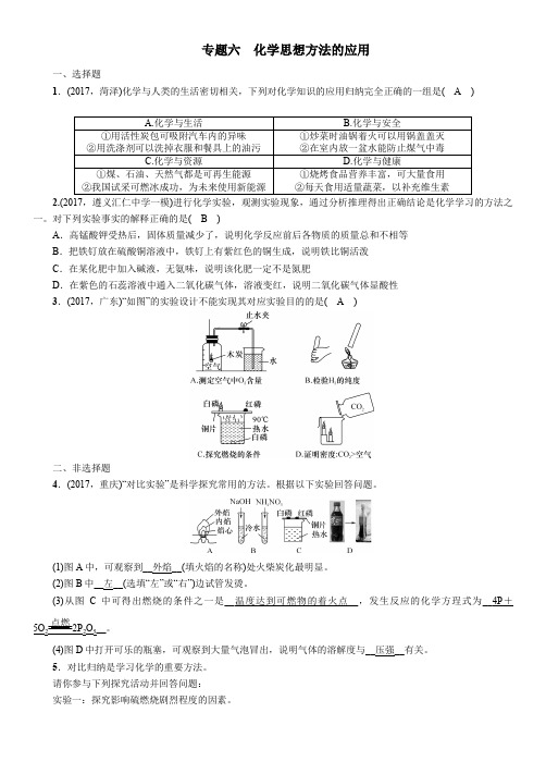 人教版中考化学总复习第2编重点题型突破篇专题六化学思想方法的应用精练练习