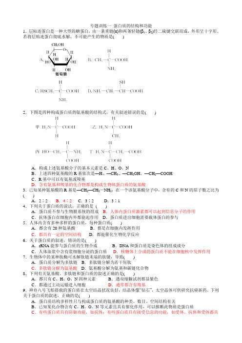 专题训练一 蛋白质的结构和功能汇总