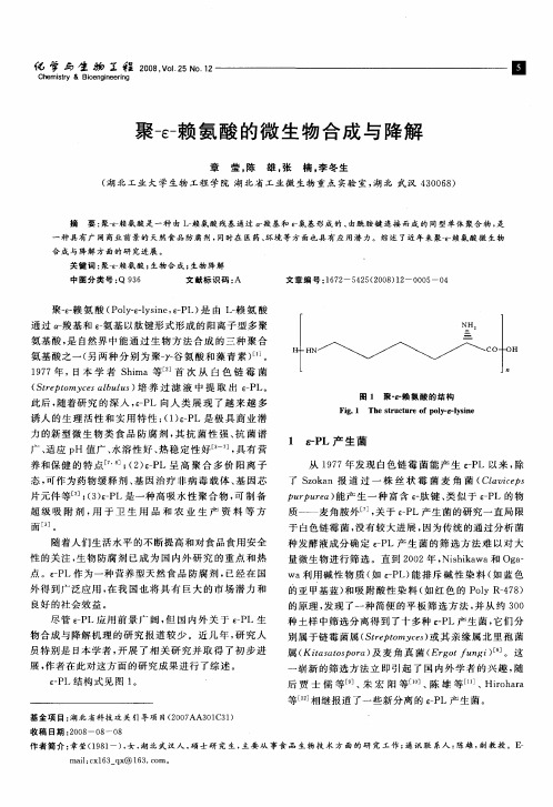 聚-ε-赖氨酸的微生物合成与降解