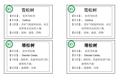 树名牌
