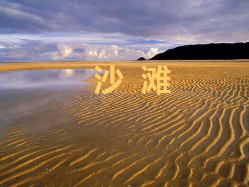《沙滩上的童话》课件(语文S版三年级语文上册课件)