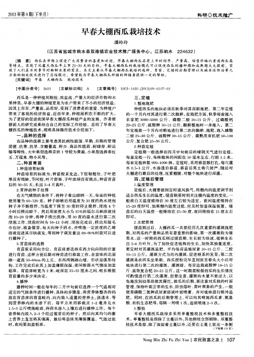 早春大棚西瓜栽培技术