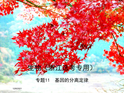 高考生物总复习专题11基因的分离定律课件高三全册生物课件