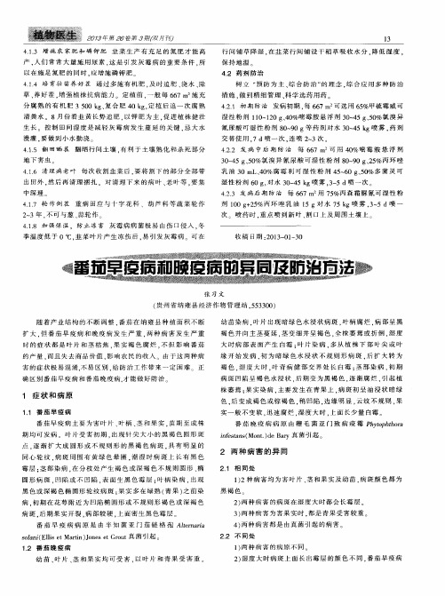 番茄早疫病和晚疫病的异同及防治方法