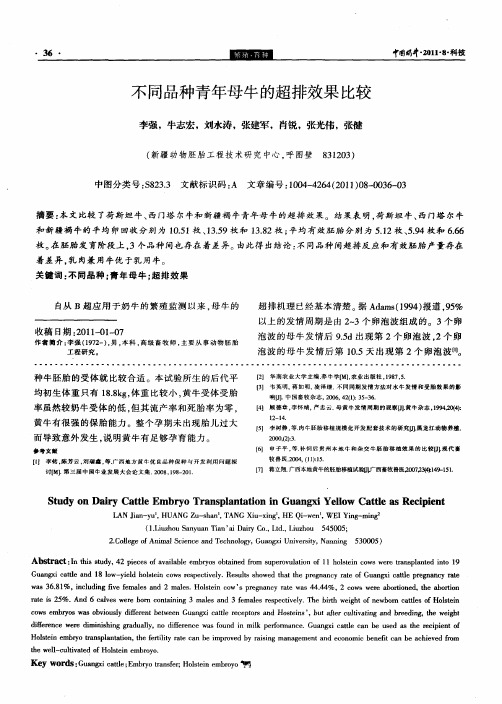 不同品种青年母牛的超排效果比较