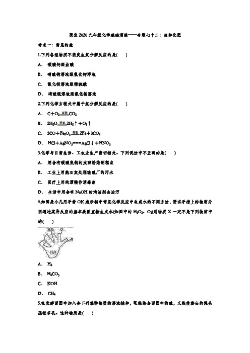 聚焦2020九年级化学基础演练——专题七十二：盐和化肥
