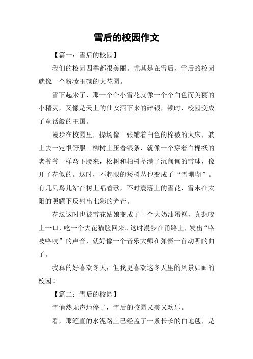 雪后的校园作文
