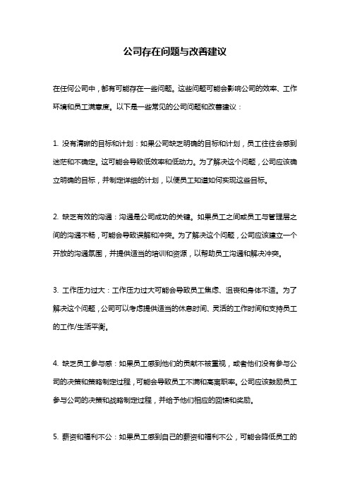 公司存在问题与改善建议