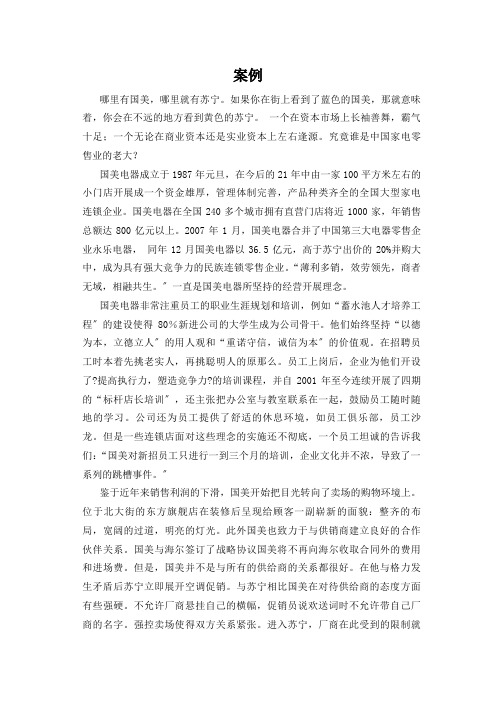 国美与苏宁战略分析