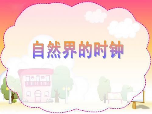 自然界的时钟(课件)