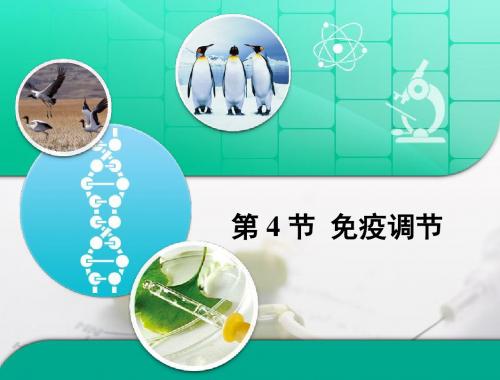 人教版高中生物必修3-2.4《免疫调节》复习课件