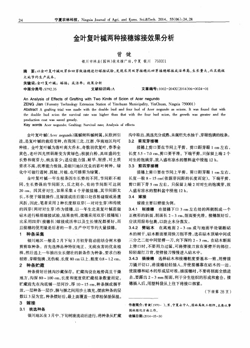 金叶复叶槭两种接穗嫁接效果分析