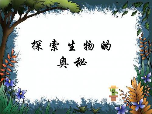 【初中生物】我们周围的生物PPT课件1