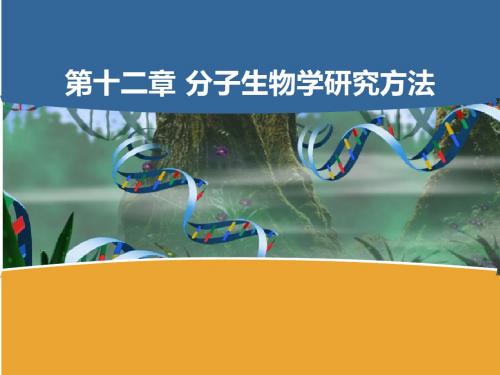 12-分子生物学研究方法