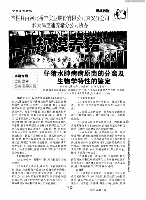 仔猪水肿病病原菌的分离及生物学特性的鉴定