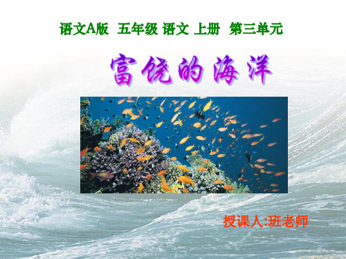 (语文A版)五年级语文上册课件-富饶的海洋-1