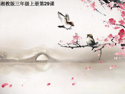 湘教版三年级语文上册《八单元  新春赏梅》优质课课件_4
