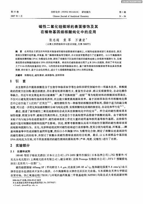 磁性二氧化硅微球的表面修饰及其在植物基因组核酸纯化中的应用