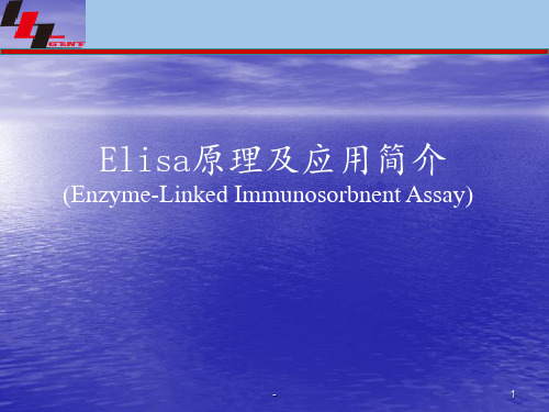 Elisa技术原理及应用PPT课件