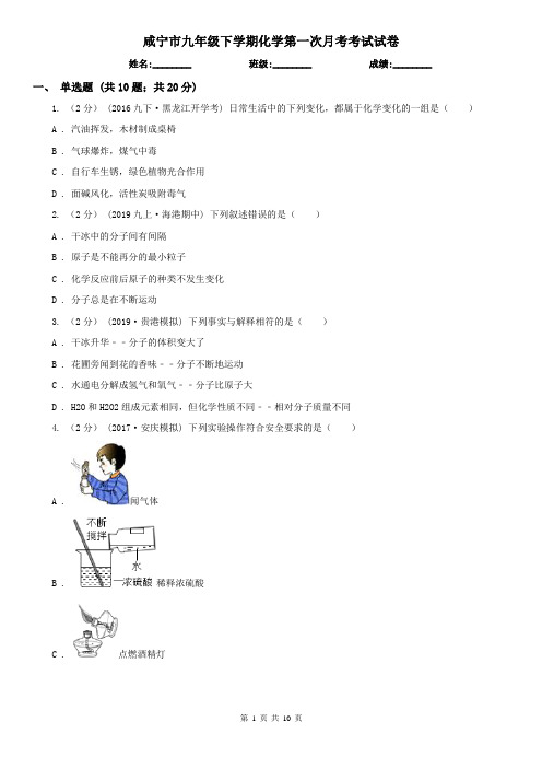 咸宁市九年级下学期化学第一次月考考试试卷
