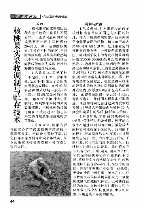 核桃果实采收调制与贮存技术