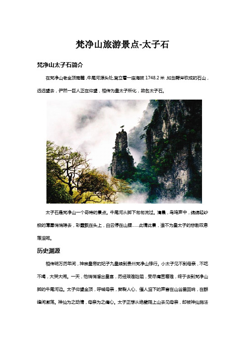 梵净山旅游景点-太子石