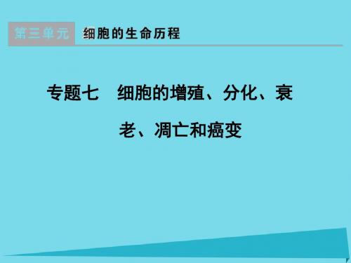 高考生物复习细胞的增殖、分化、衰老、凋亡和癌变课件