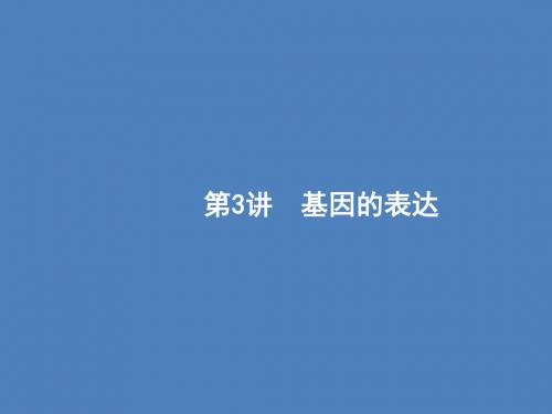 (苏教版)2020版高考一轮复习7.3基因的表达课件必修2(生物)