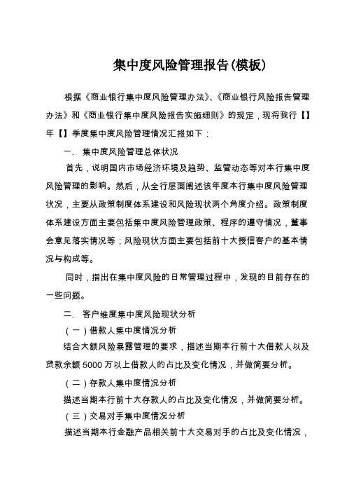 集中度风险管理报告模板