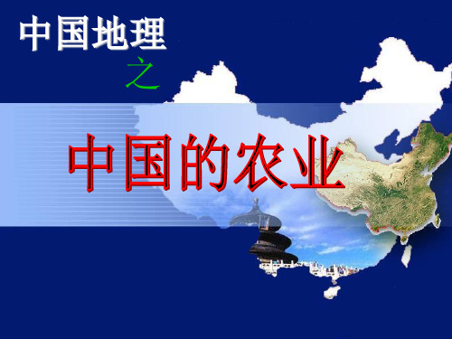 中国的农业 PPT课件