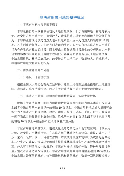 非法占用农用地罪辩护律师