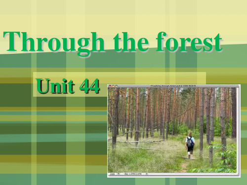 新概念二Unit44Throughtheforest课文讲解共35页