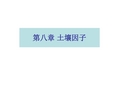 第八章 土壤因子