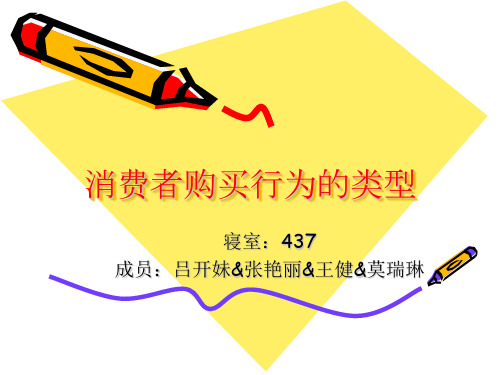消费者购买行为的类型