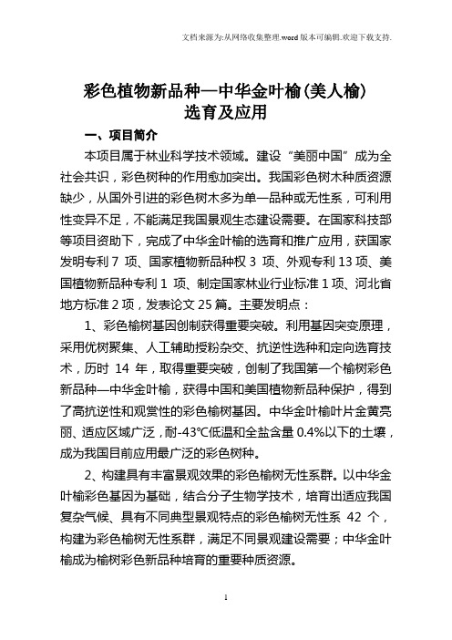 彩色植物新品种中华金叶榆美人榆