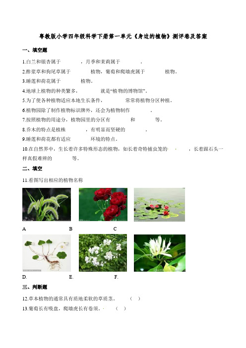 粤教版小学四年级科学下册第一单元《身边的植物》测评卷及答案