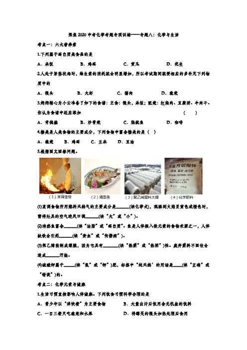 聚焦2020中考化学考题专项训练——专题八：化学与生活