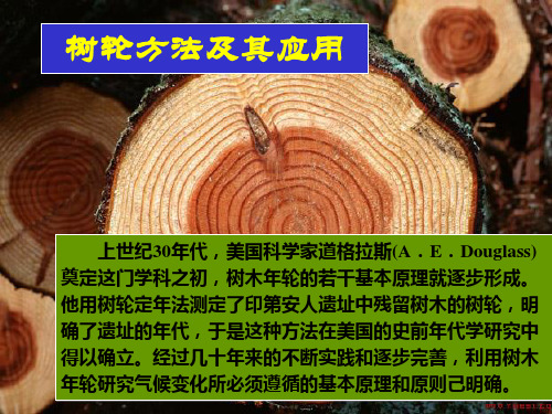 树轮方法及其应用