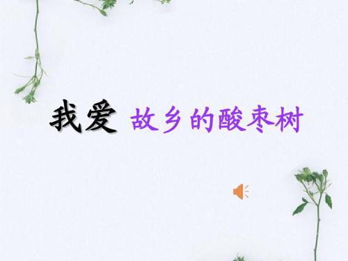 《我爱故乡的酸枣树》课件