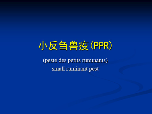 反刍动物传染病小反刍兽疫(PPR)