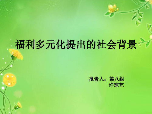 福利多元化产生的社会背景24..