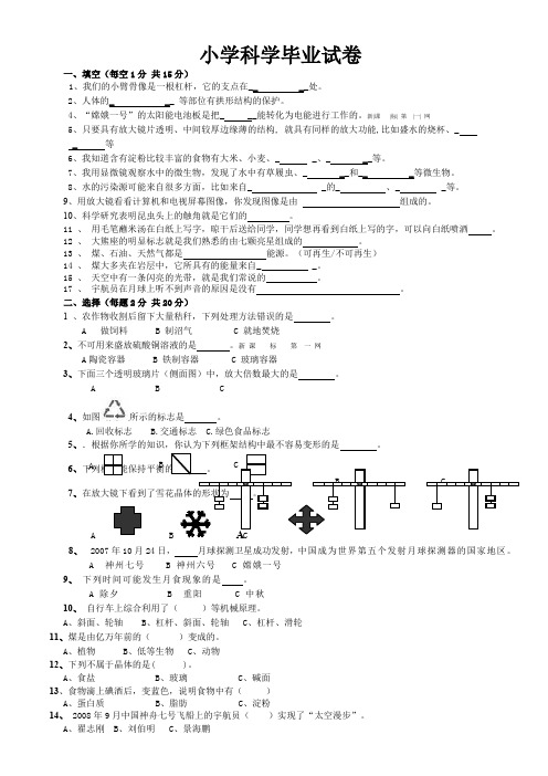 教科版小学科学毕业考试题及答案
