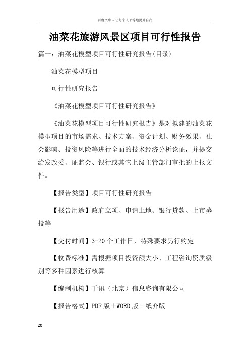 油菜花旅游风景区项目可行性报告