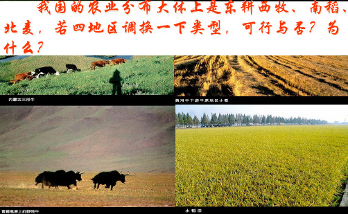 《农业的区位选择》1课件