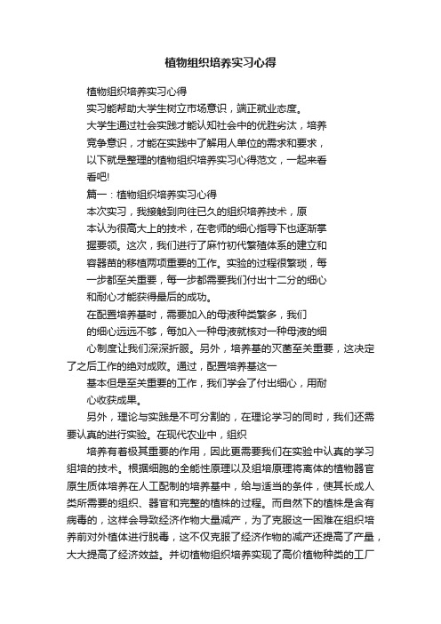 植物组织培养实习心得